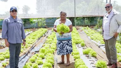 Desarrollo de la Comunidad y FAO buscan relanzar proyectos agroalimentarios