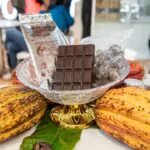 Celebran Foro de Cacao en Agroalimentaria 2025