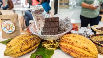 Celebran Foro de Cacao en Agroalimentaria 2025