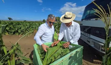 <strong>Tierra Tropical se prepara para el Pumpkin Patch en octubre 2023</strong>