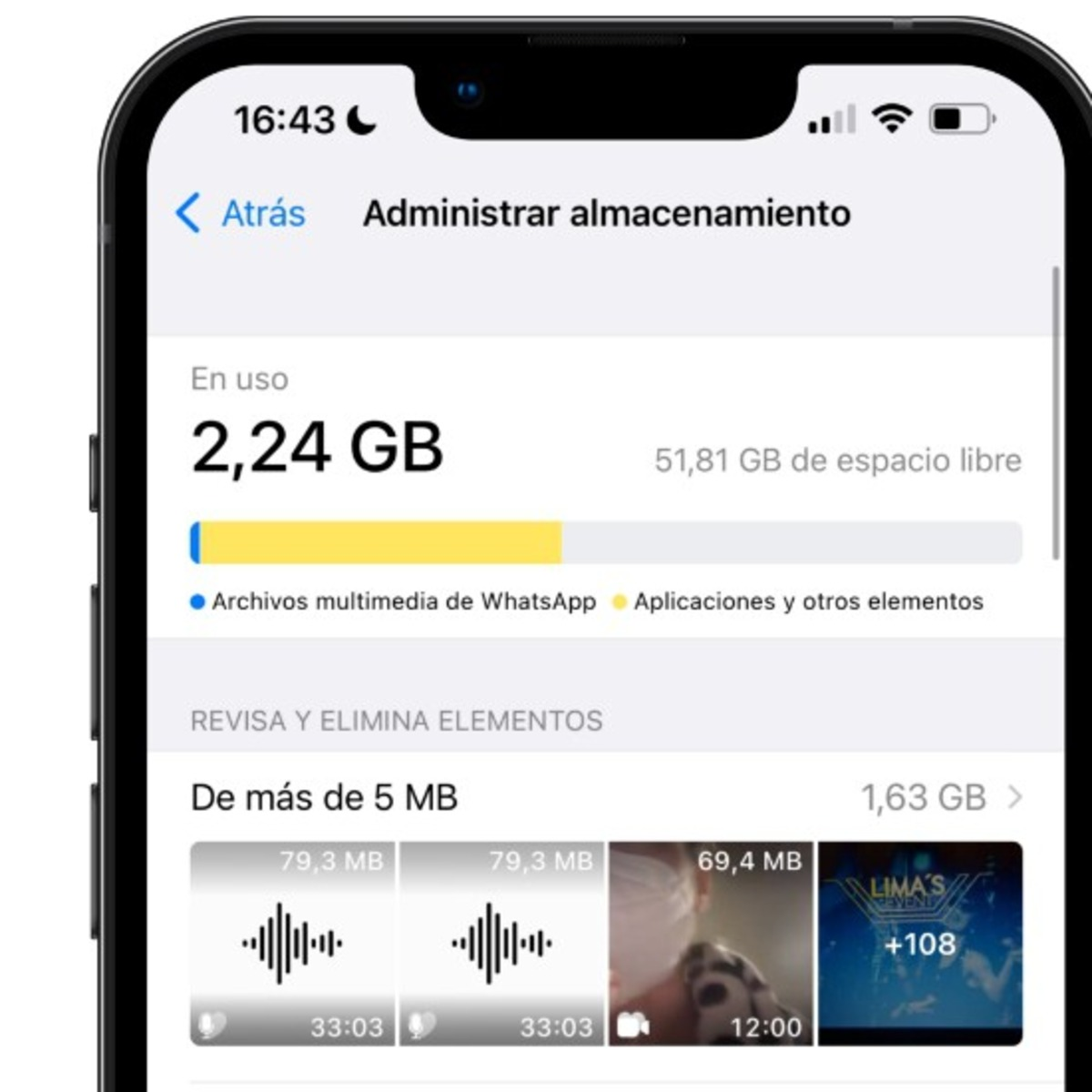Pantalla de administración de almacenamiento en iPhone.