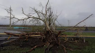 Hombre muere aplastado por un árbol por derrumbe provocado por lluvias en Puerto Rico