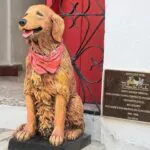 Parque del Prado Pet Cemetery rinde homenaje a la mascota Shinycon la entrega de busto conmemorativo