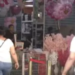 Opiniones encontradas por redadas de la DGM en comercios en busca de ilegales
