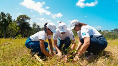 Empleados voluntarios del Grupo Popular siembran 3,000 árboles en el Plan Sierra