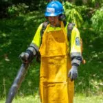 Gestión preventiva de áreas verdes reduce riesgos y protege infraestructuras ante temporada ciclónica