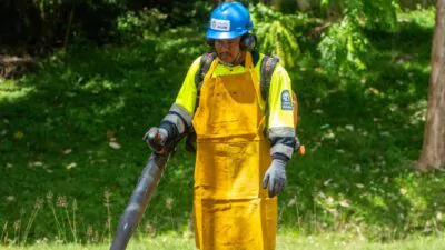 Gestión preventiva de áreas verdes reduce riesgos y protege infraestructuras ante temporada ciclónica