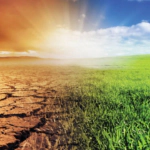 Cambio climático baja el rendimiento mundial de los cultivos, incluso con adaptaciones