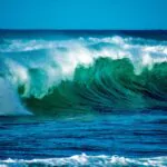 Día Mundial de los Océanos, fecha dedicada a reconocer la mayor maravilla de la naturaleza