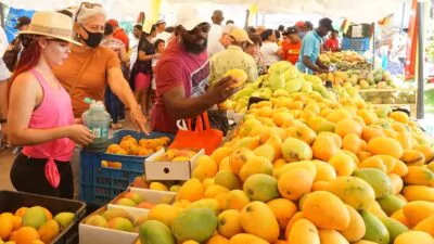 Baní celebrará la Expo Mango 2025 del 18 al 22 de junio