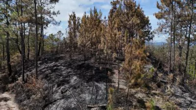 Tres meses de prisión preventiva contra hombre que causó incendio en el Parque Nacional Valle Nuevo