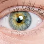 Hong Kong emplea la IA para predecir el riesgo de alzhéimer a través de las retinas