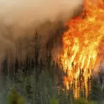 El peor incendio forestal del año en Canadá ya arrasa 300.000 hectáreas