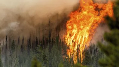 El peor incendio forestal del año en Canadá ya arrasa 300.000 hectáreas
