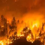 146 incendios forestales que azotan el oeste de Canadá obligan a miles de personas a ser evacuadas