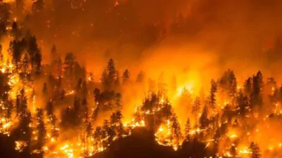146 incendios forestales que azotan el oeste de Canadá obligan a miles de personas a ser evacuadas