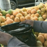 Cientos se dan cita para disfrutar de las bondades del mango, en la feria que se celebra en Baní