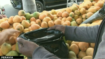 Cientos se dan cita para disfrutar de las bondades del mango, en la feria que se celebra en Baní