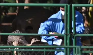 Reportan incendio en la principal cárcel de Haití, de donde huyeron miles de presos