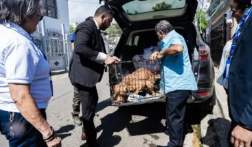 Siguen labores para rescatar dos hombres atrapados en mina de Maimón