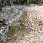 Detienen construcción de proyecto The Reef en Samaná por daño ambiental
