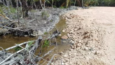 Detienen construcción de proyecto The Reef en Samaná por daño ambiental