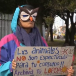 Victoria para los animalistas: rechazan ley que permitía espectáculos con animales en ecuador