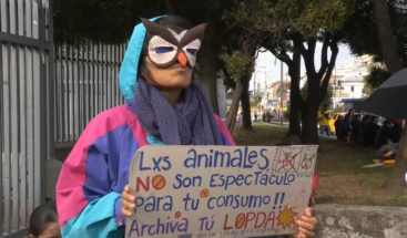 Los viajeros del Reino Unido vacunados pueden entrar desde hoy en EE.UU.