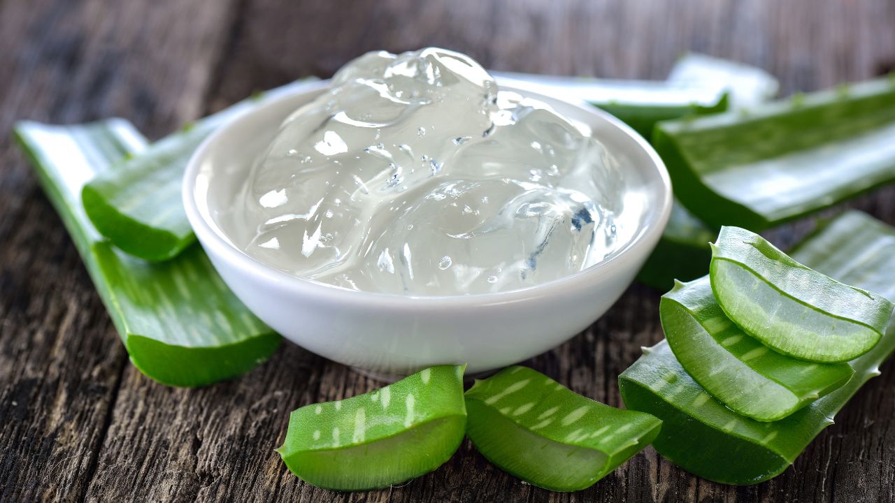 Gel de aloe vera en tazón blanco