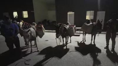 Abandonan contrabando de bebidas alcohólicas que era transportado en burros en San Juan de la Maguana