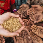 Aumento de desplazados internos en Haití agrava la crisis alimentaria, dice la ONU