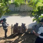 DNCD detiene más de 1000 personas e incautan 300 mil gramos de drogas en distintos allanamientos