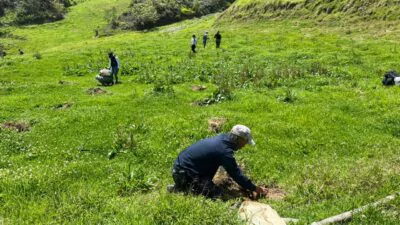 Realizan jornada de reforestación en conmemoración del Día Mundial del Medio Ambiente