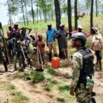 Ejército detiene haitianos indocumentados por depredación al medio ambiente en Dajabón