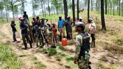 Ejército detiene haitianos indocumentados por depredación al medio ambiente en Dajabón