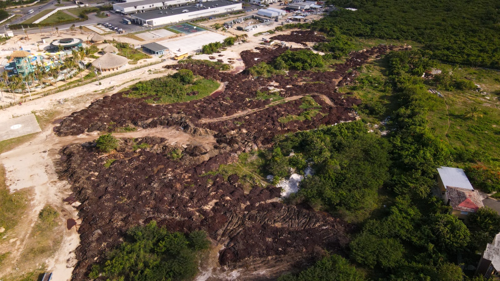 Vista aérea de parque acuático y terreno forestal